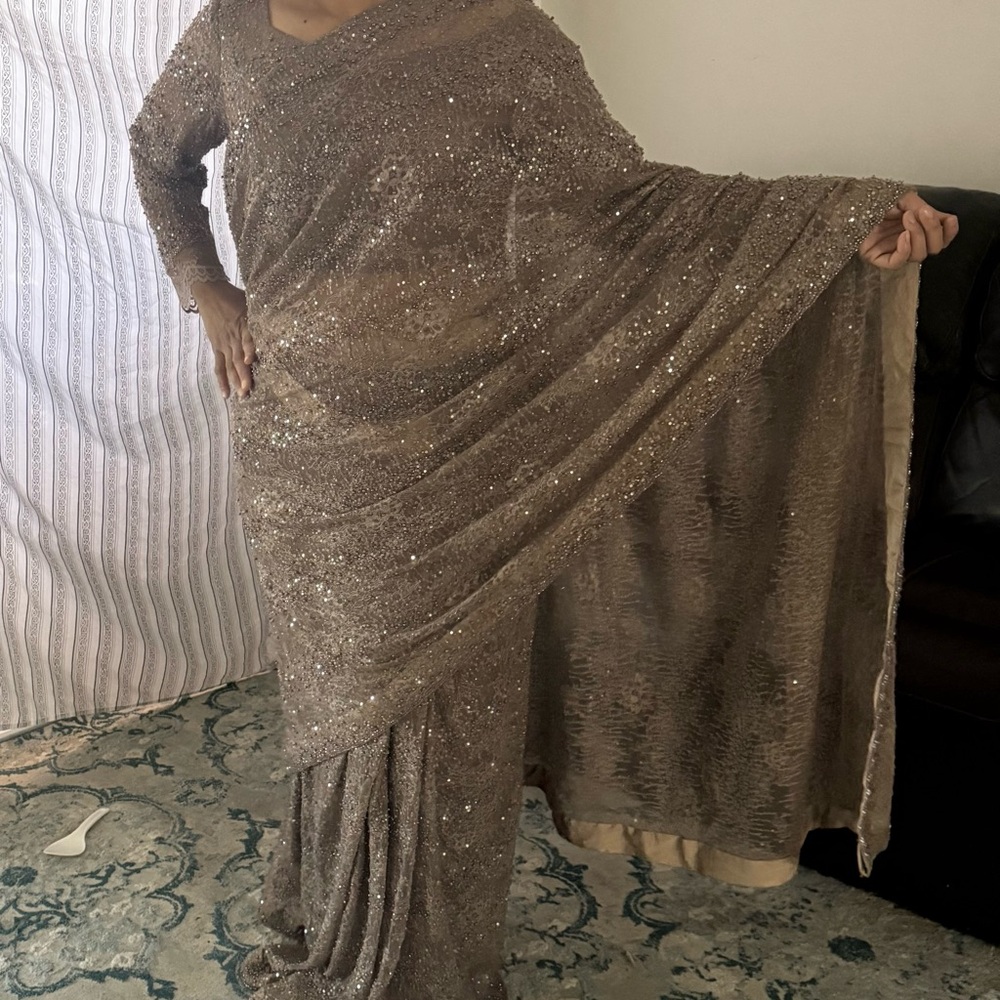 Elegant Sequined Saree